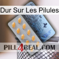 Hard On Pills 44